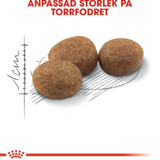 Royal Canin Sterilised Adult Torrfoder för Katt 4 kg