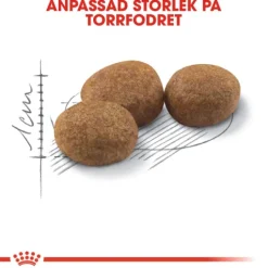 Royal Canin Sterilised Adult Torrfoder för Katt 10 kg