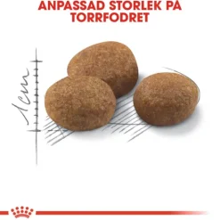 Royal Canin Sterilised 7+ Ageing Torrfoder för Katt 3,5 kg