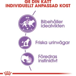 Royal Canin Sterilised Jelly Adult Våtfoder för Katt 1,02 kg