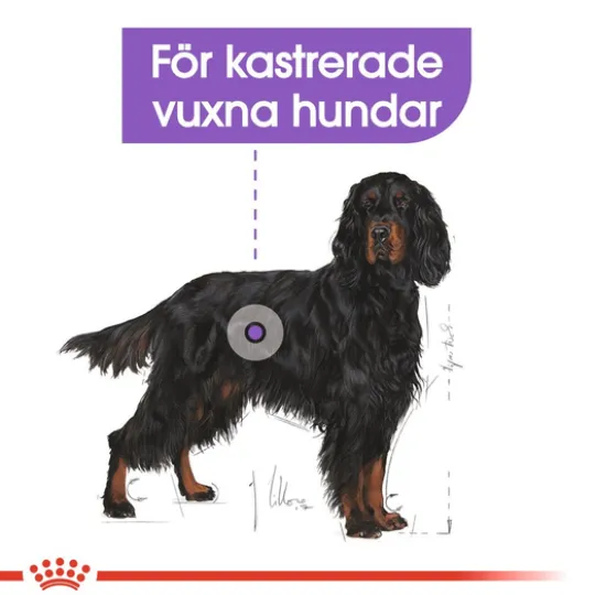 Royal Canin Sterilised Maxi Adult Torrfoder för Hund 12 kg