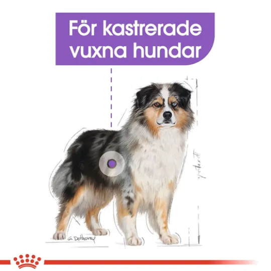 Royal Canin Sterilised Medium Adult Torrfoder för Hund 12 kg