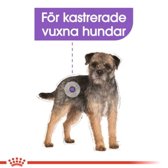 Royal Canin Sterilised Mini Adult Torrfoder för Hund 8 kg