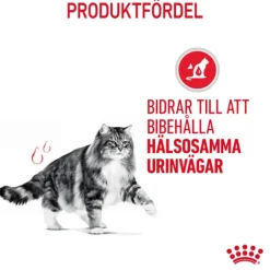 Royal Canin Urinary Care Adult Torrfoder för Katt 10 kg