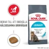 Royal Canin Urinary Care Adult Torrfoder för Katt 4 kg