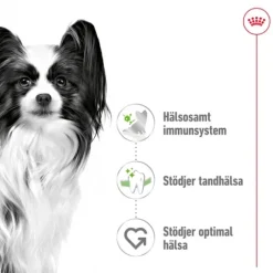 Royal Canin X-Small Adult Torrfoder för Hund 3 kg