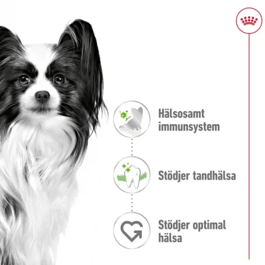 Royal Canin X-Small Adult Torrfoder för Hund 3 kg
