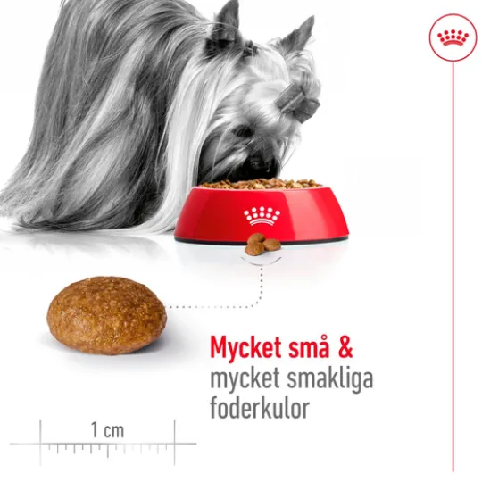 Royal Canin X-Small Adult 8+ Torrfoder för Hund 1,5 kg