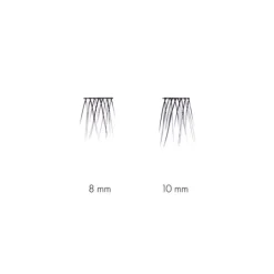 SWEED No Lash Cluster Medium