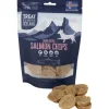 Treateaters Iceland Salmon Chips Large Bites 70 g
