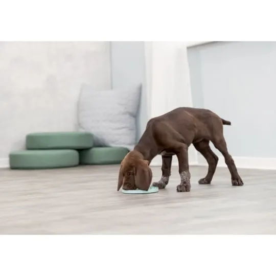 Trixie Junior Lick'n'Snack Platta ø 15 cm