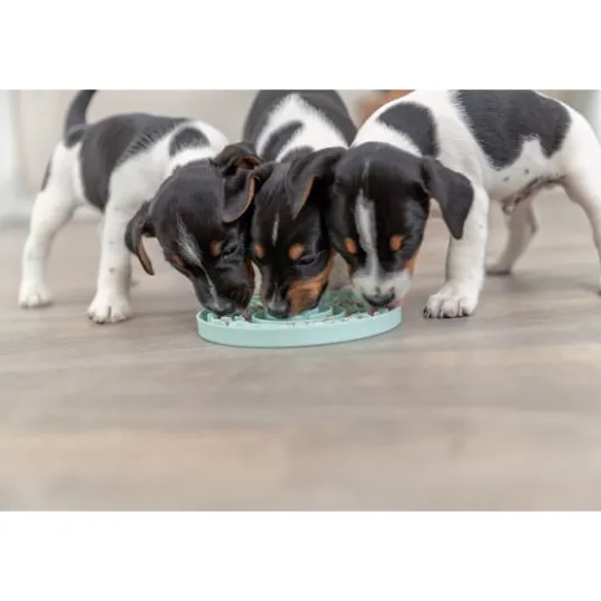 Trixie Junior Lick'n'Snack Platta ø 15 cm