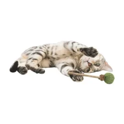 Trixie Matatabi LollyPop med Catnip 11 cm