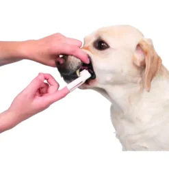 Trixie Tandvårdsset med Tandkräm, Fingerborstar & Tandborste