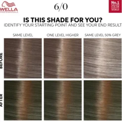Wella Color Touch Kit 6/0 Dark Blonde 130 ml