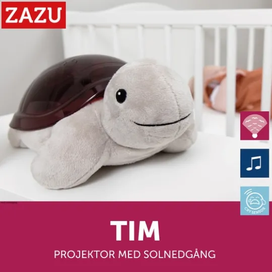 Zazu Projector Tim the Turtle
